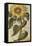 Sunflower. from 'Camerarius Florilegium'-Joachim Camerarius-Framed Premier Image Canvas