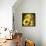 Sunflower Girl-Atelier Sommerland-Framed Stretched Canvas displayed on a wall