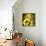 Sunflower Girl-Atelier Sommerland-Framed Stretched Canvas displayed on a wall