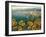 Sunflower Harbor-Lawson-Framed Art Print