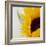 Sunflower (Helianthus Annuus)-Cristina-Framed Premium Photographic Print