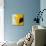 Sunflower (Helianthus Annuus)-Cristina-Mounted Premium Photographic Print displayed on a wall