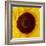 Sunflower (Helianthus Annuus)-Cristina-Framed Premium Photographic Print