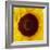 Sunflower (Helianthus Annuus)-Cristina-Framed Premium Photographic Print