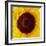 Sunflower (Helianthus Annuus)-Cristina-Framed Premium Photographic Print