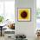 Sunflower (Helianthus Annuus)-Cristina-Framed Photographic Print displayed on a wall