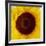 Sunflower (Helianthus Annuus)-Cristina-Framed Photographic Print