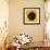 Sunflower (Helianthus Annuus)-Cristina-Framed Photographic Print displayed on a wall
