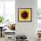 Sunflower (Helianthus Annuus)-Cristina-Framed Photographic Print displayed on a wall