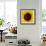 Sunflower (Helianthus Annuus)-Cristina-Framed Photographic Print displayed on a wall