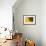 Sunflower, Helianthus (photo)-null-Framed Photographic Print displayed on a wall