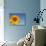 Sunflower, Helianthus Spec. Bielefeld, NRW, Germany-Thorsten Milse-Photographic Print displayed on a wall