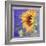 Sunflower I-Sharon Pitts-Framed Giclee Print