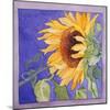 Sunflower I-Sharon Pitts-Mounted Giclee Print