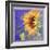 Sunflower I-Sharon Pitts-Framed Giclee Print