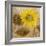 Sunflower III-li bo-Framed Giclee Print