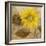 Sunflower III-li bo-Framed Giclee Print