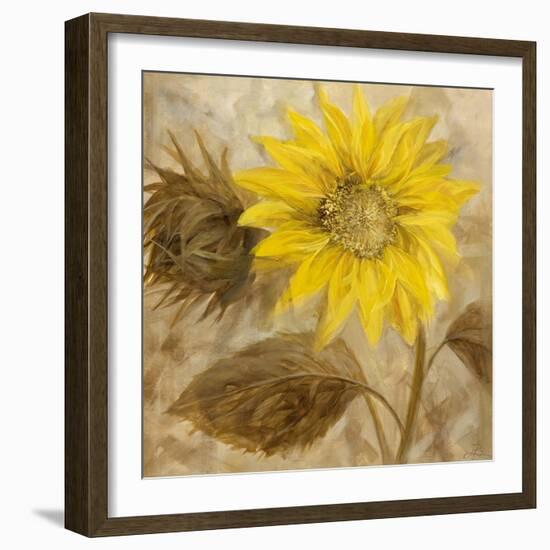 Sunflower III-li bo-Framed Giclee Print