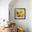 Sunflower III-li bo-Framed Giclee Print displayed on a wall