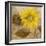 Sunflower III-li bo-Framed Giclee Print