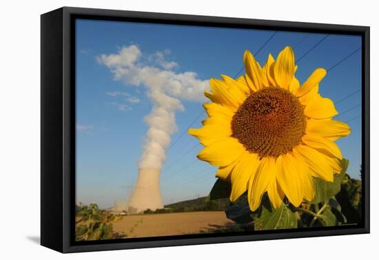 Sunflower, in Front of a Nuclear Power Plant-null-Framed Stretched Canvas