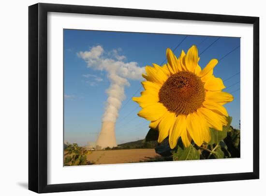 Sunflower, in Front of a Nuclear Power Plant-null-Framed Photo