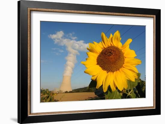 Sunflower, in Front of a Nuclear Power Plant-null-Framed Photo