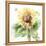 Sunflower Meadow III-Katrina Pete-Framed Stretched Canvas