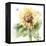 Sunflower Meadow III-Katrina Pete-Framed Stretched Canvas