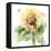 Sunflower Meadow III-Katrina Pete-Framed Stretched Canvas