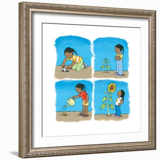 Sunflower Mix - Turtle-Kathryn Mitter-Framed Premium Giclee Print