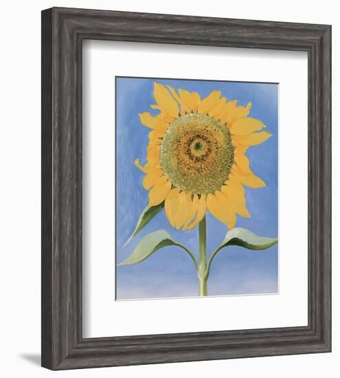 Sunflower, New Mexico, 1935-Georgia O'Keeffe-Framed Art Print