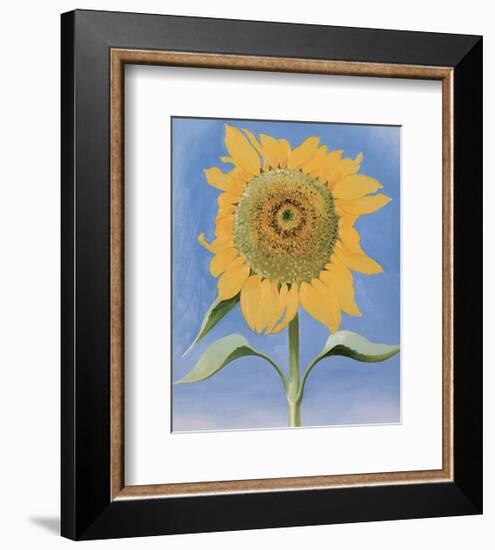 Sunflower, New Mexico, 1935-Georgia O'Keeffe-Framed Art Print