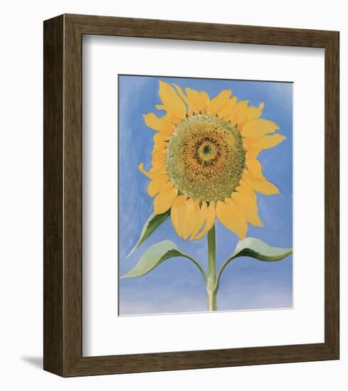 Sunflower, New Mexico, 1935-Georgia O'Keeffe-Framed Art Print