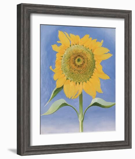 Sunflower, New Mexico, c.1935-Georgia O'Keeffe-Framed Art Print