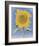 Sunflower, New Mexico, c.1935-Georgia O'Keeffe-Framed Art Print