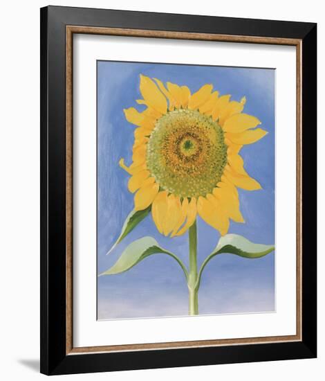 Sunflower, New Mexico, c.1935-Georgia O'Keeffe-Framed Art Print