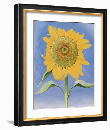 Sunflower, New Mexico, c.1935-Georgia O'Keeffe-Framed Art Print