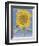 Sunflower, New Mexico, c.1935-Georgia O'Keeffe-Framed Art Print