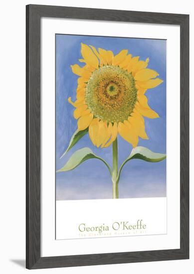 Sunflower, New Mexico, c.1935-Georgia O'Keeffe-Framed Art Print