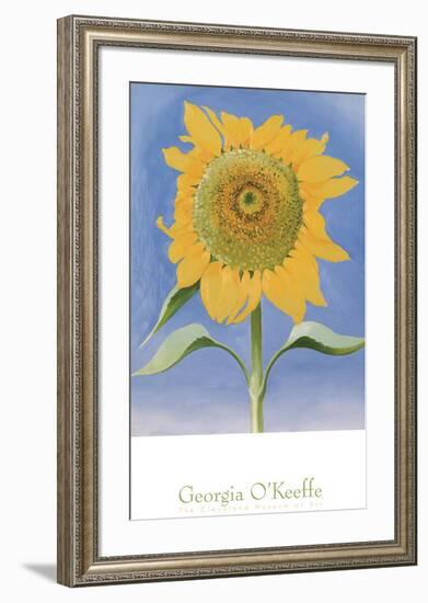 Sunflower, New Mexico, c.1935-Georgia O'Keeffe-Framed Art Print