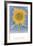 Sunflower, New Mexico, c.1935-Georgia O'Keeffe-Framed Art Print