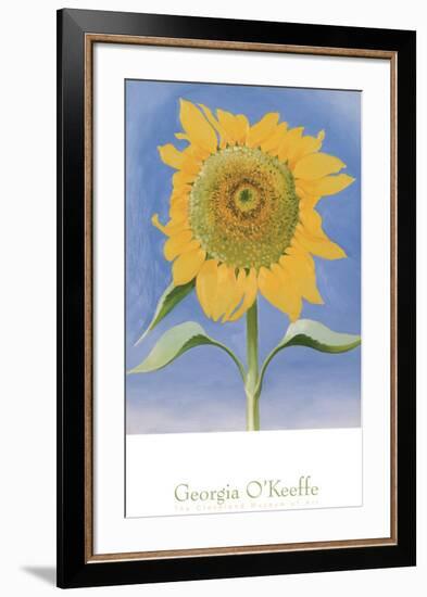 Sunflower, New Mexico, c.1935-Georgia O'Keeffe-Framed Art Print