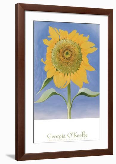 Sunflower, New Mexico, c.1935-Georgia O'Keeffe-Framed Art Print