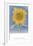 Sunflower, New Mexico, c.1935-Georgia O'Keeffe-Framed Art Print