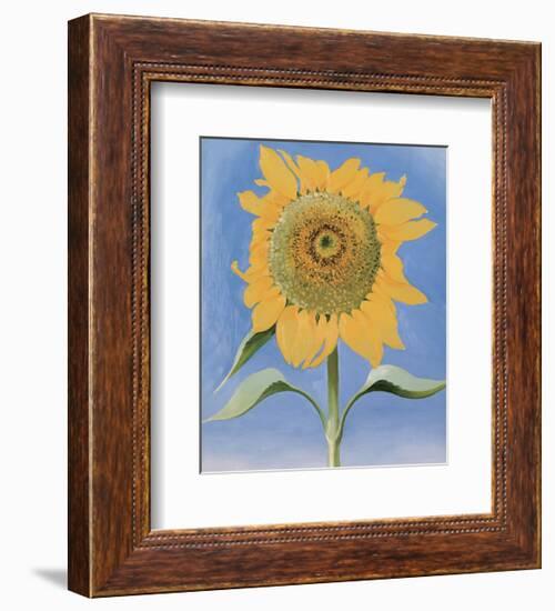 Sunflower, New Mexico, c.1935-Georgia O'Keeffe-Framed Art Print