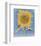 Sunflower, New Mexico, c.1935-Georgia O'Keeffe-Framed Art Print