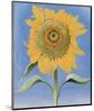 Sunflower, New Mexico, c.1935-Georgia O'Keeffe-Mounted Art Print