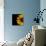 Sunflower Number 3-Steve Gadomski-Photographic Print displayed on a wall