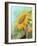 Sunflower, Oil Painting On Canvas-Valenty-Framed Art Print